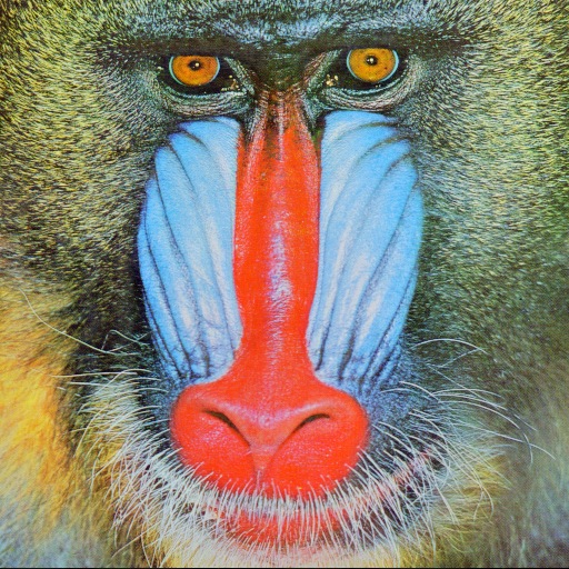 4.2.03